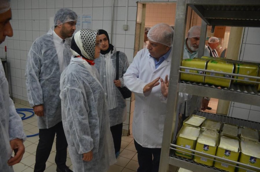 Ankara Milletvekili Lütfiye Selva Çam Başkan Alp’i Ziyaret Etti