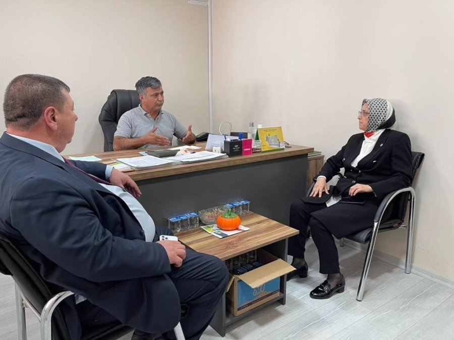 Ankara Milletvekili Lütfiye Selva Çam Başkan Alp’i Ziyaret Etti