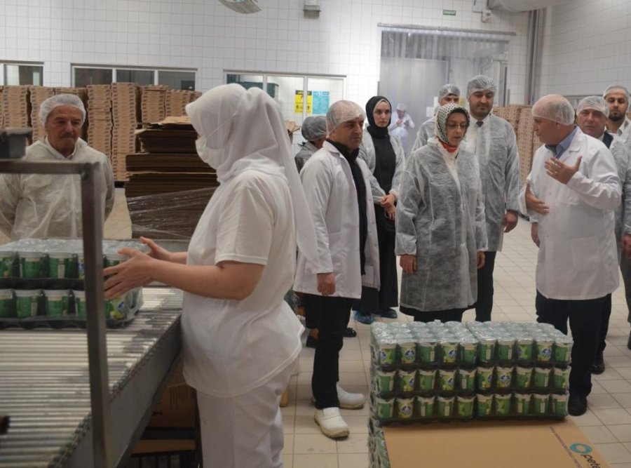 Ankara Milletvekili Lütfiye Selva Çam Başkan Alp’i Ziyaret Etti