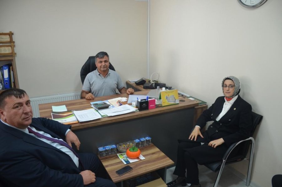 Ankara Milletvekili Lütfiye Selva Çam Başkan Alp’i Ziyaret Etti