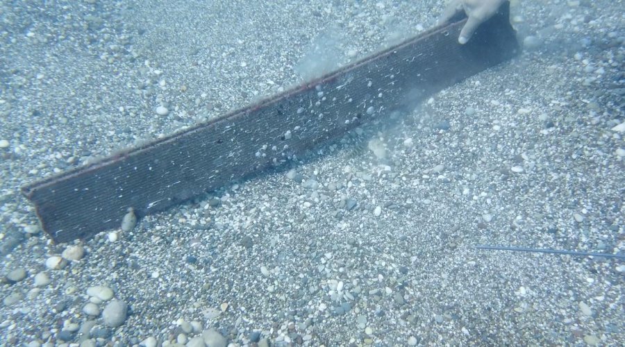 Av Yasağı Etkisini Gösterdi, Antalya Körfezi’nde Her Taşın Altından ‘lagos’ Balığının Yavrusu Çıkıyor