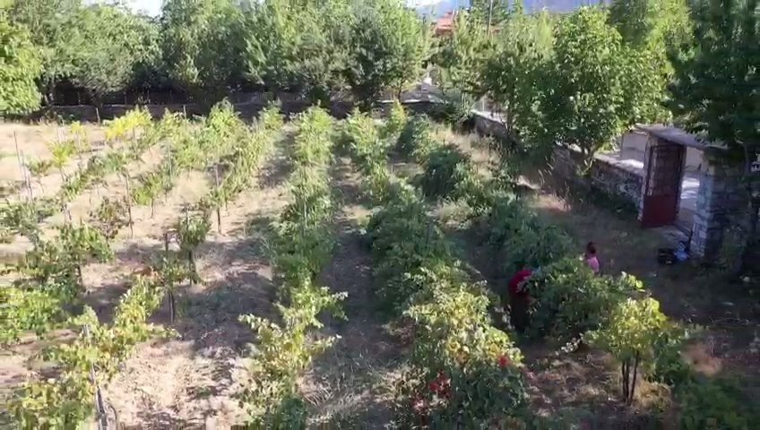 Bakır Tavalarda Kızgın Ateşte 4-5 Saat Kaynıyor, Kilogramı 100 Liradan Satılıyor