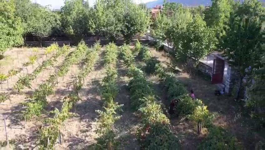 Bakır Tavalarda Kızgın Ateşte 4-5 Saat Kaynıyor, Kilogramı 100 Liradan Satılıyor