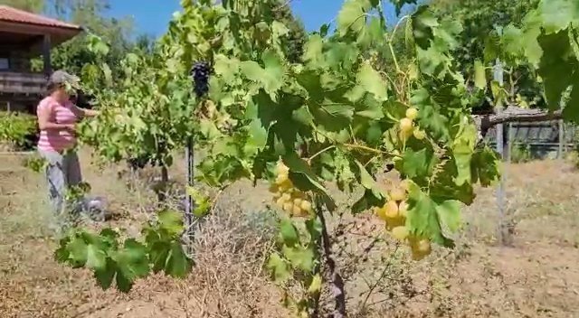 Bakır Tavalarda Kızgın Ateşte 4-5 Saat Kaynıyor, Kilogramı 100 Liradan Satılıyor