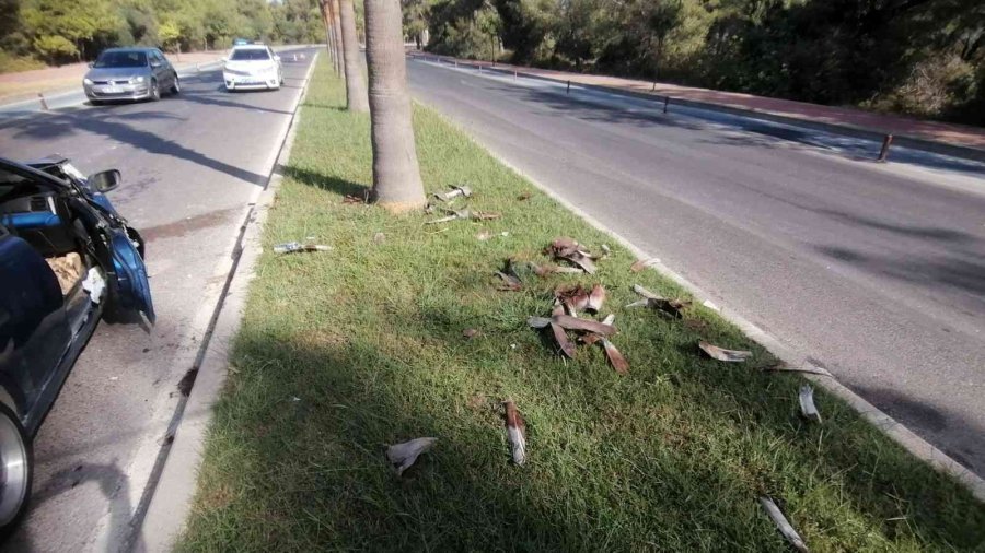 Palmiyeye Çarpan Otomobildeki 2 Kişi Yaralandı