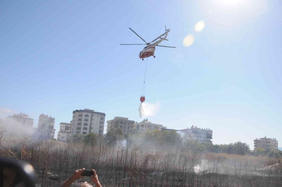 Otluk Alanda Çıkan Yangın Portakal Ağaçları Ve Arı Kovanlarını Yaktı