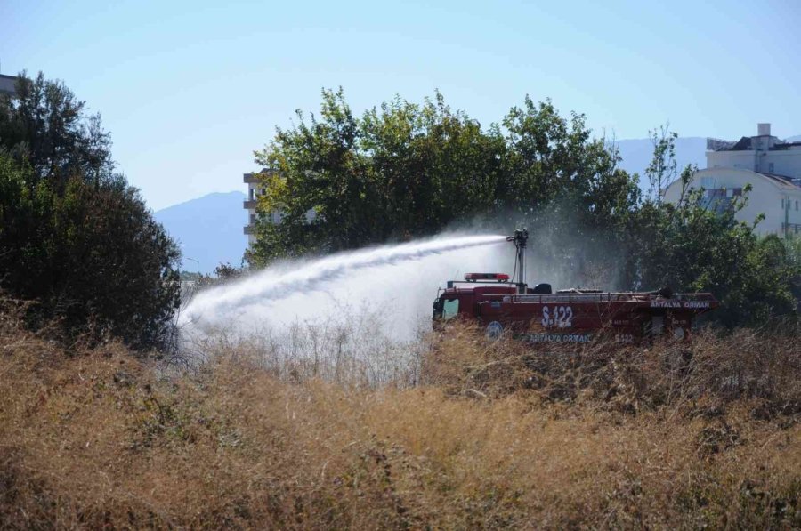 Otluk Alanda Çıkan Yangın Portakal Ağaçları Ve Arı Kovanlarını Yaktı