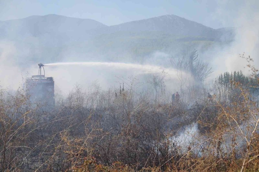 Otluk Alanda Çıkan Yangın Portakal Ağaçları Ve Arı Kovanlarını Yaktı