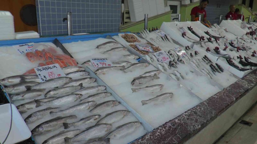 Palamut Fırtınası Kayseri’de De Esiyor