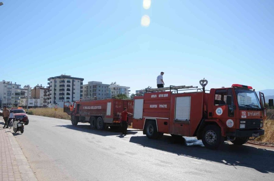 Otluk Alanda Çıkan Yangın Portakal Ağaçları Ve Arı Kovanlarını Yaktı