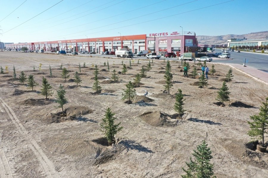 Kocasinan Belediyesi Ağaçlandırma Sezonuna Hazır