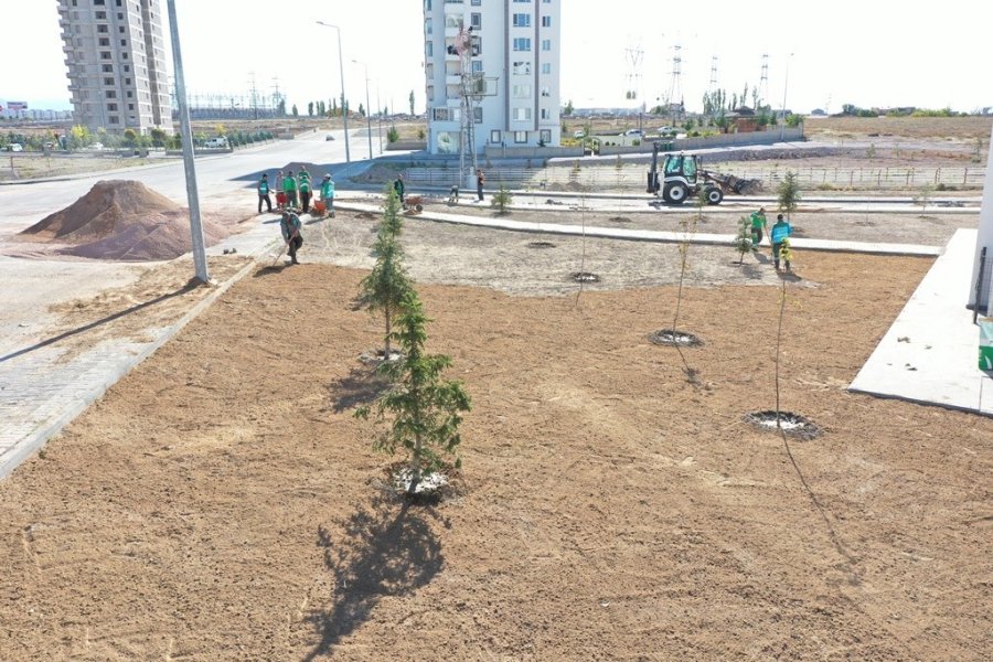 Kocasinan Belediyesi Ağaçlandırma Sezonuna Hazır