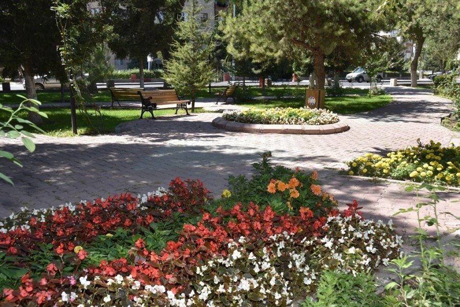 Kocasinan Belediyesi Ağaçlandırma Sezonuna Hazır