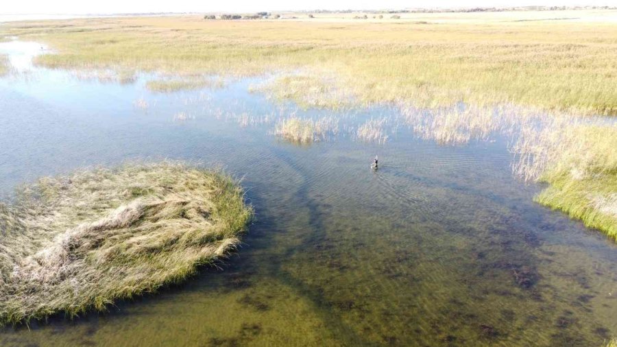 At Yarışında Jokey Attan Düştü, Sazlıklar Arasında Kaybolan At Saatler Sonra Bulundu