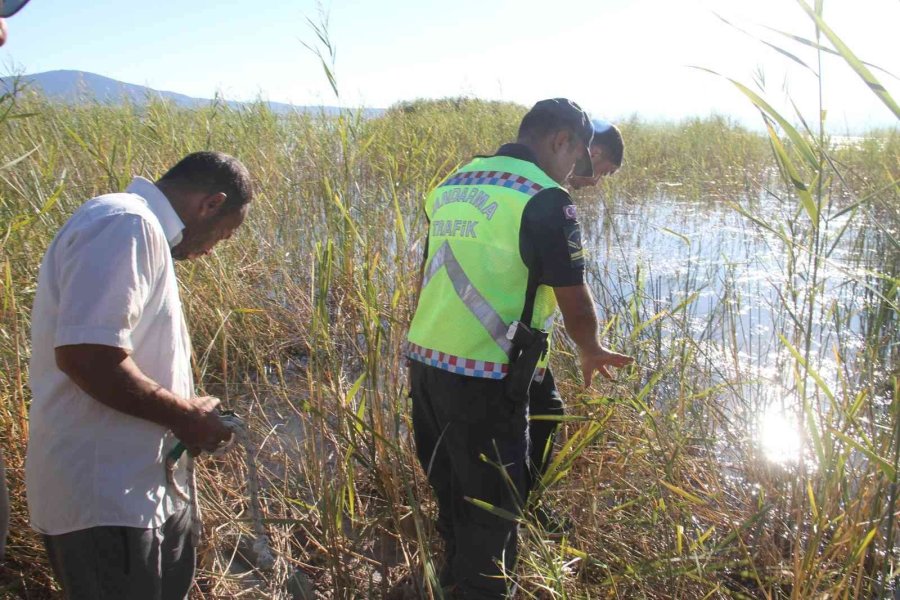 At Yarışında Jokey Attan Düştü, Sazlıklar Arasında Kaybolan At Saatler Sonra Bulundu