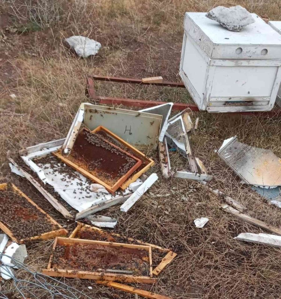 Bir Gün Nöbeti Bıraktı, Ayılar Kovanları Parçaladı