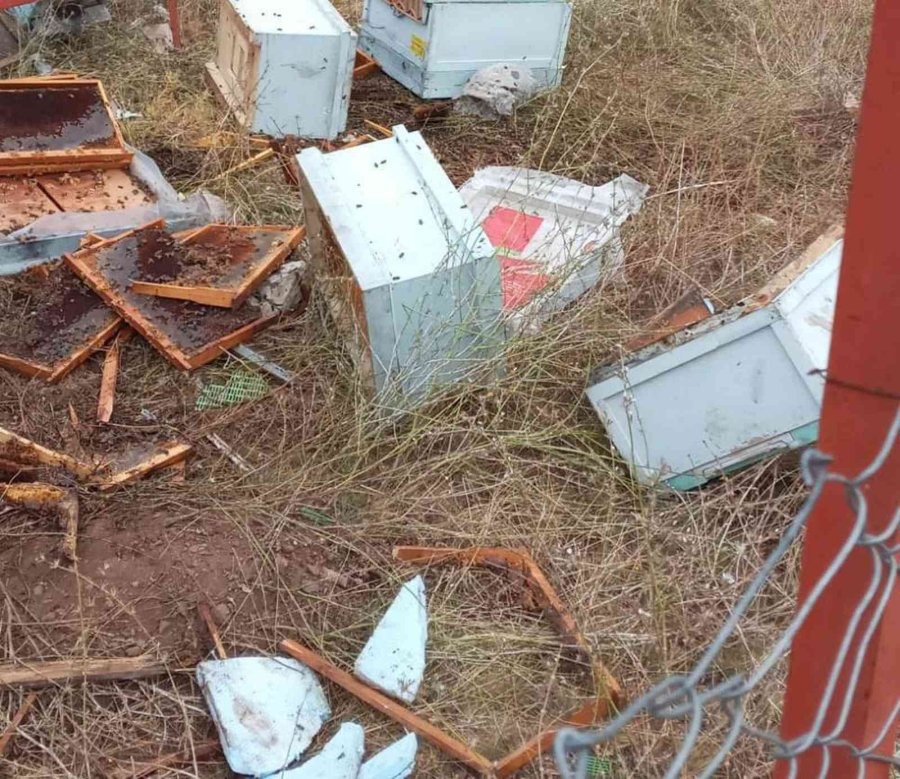 Bir Gün Nöbeti Bıraktı, Ayılar Kovanları Parçaladı