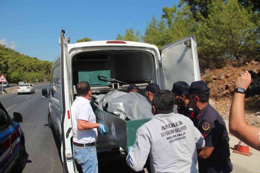 Seyyar Dövizci Cinayeti