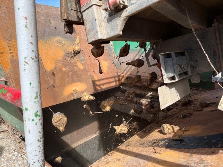 ‘pancar Alım Kampanyası’ Törenle Başladı