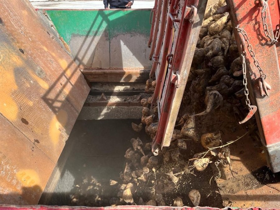 ‘pancar Alım Kampanyası’ Törenle Başladı