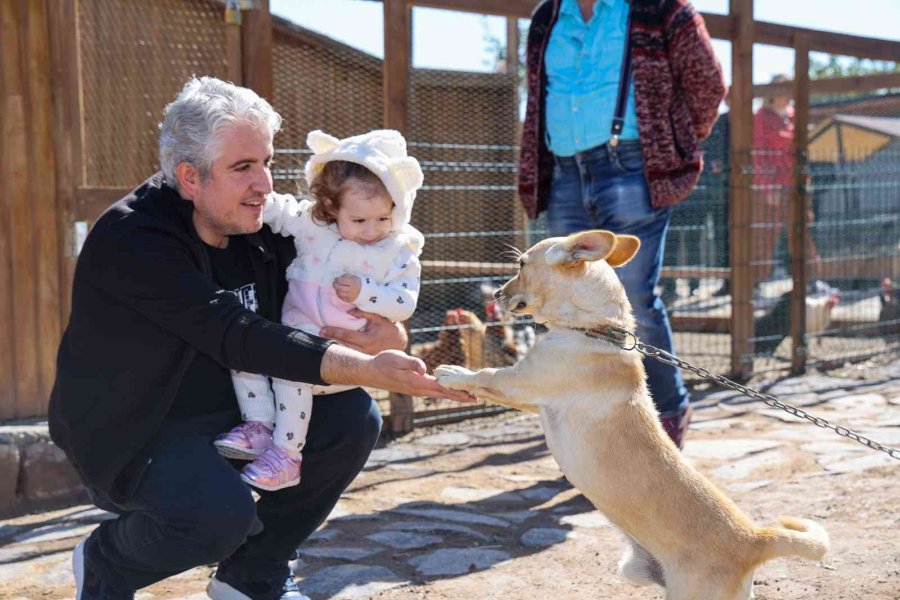 Çiftlik Minik, Sevgi Büyük