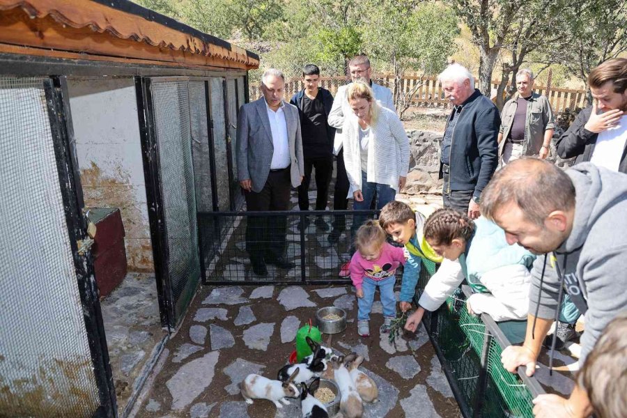 Çiftlik Minik, Sevgi Büyük