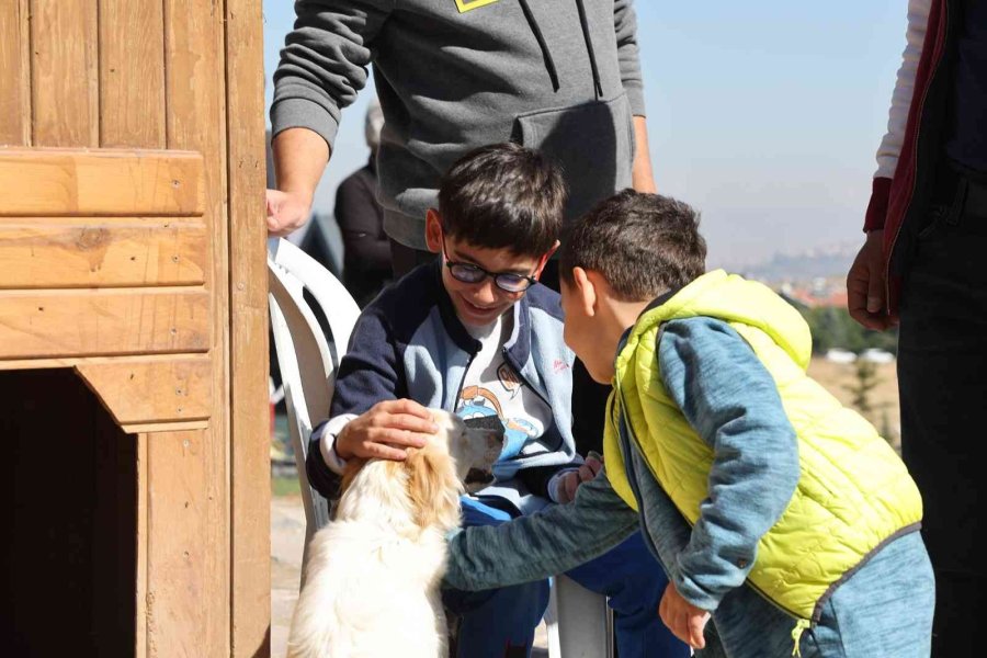 Çiftlik Minik, Sevgi Büyük