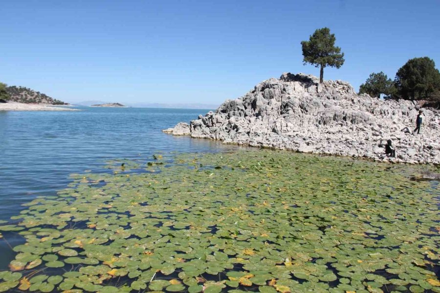 Beyşehir Gölü’ndeki Ada Doğa Tutkunlarının Gözdesi Oldu