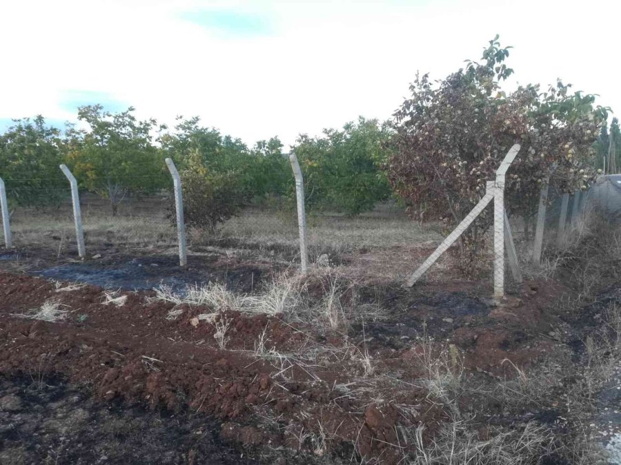 Yakılan Anızlar Çilek Bahçelerine Zarar Verdi
