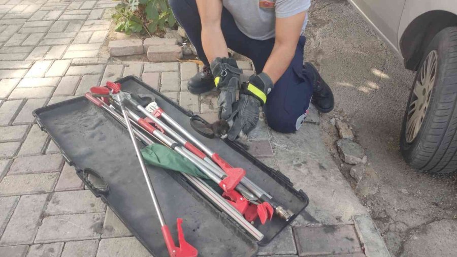 Kurtarıldıktan Sonra İkinci Kez Motor Kısmına Giren Kediyi İtfaiye Eri Kurtardı