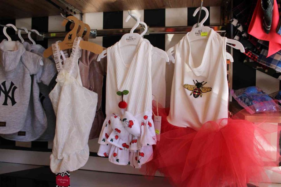 Hava Sıcaklıkların Düşmesi Hayvanseverleri Mevsimlik Kıyafetlere Yöneltti