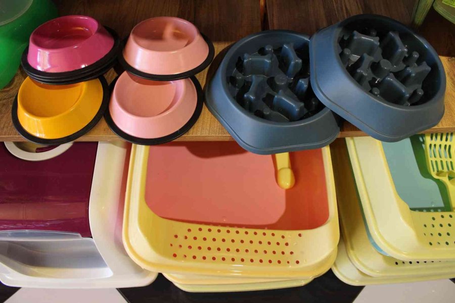 Hava Sıcaklıkların Düşmesi Hayvanseverleri Mevsimlik Kıyafetlere Yöneltti