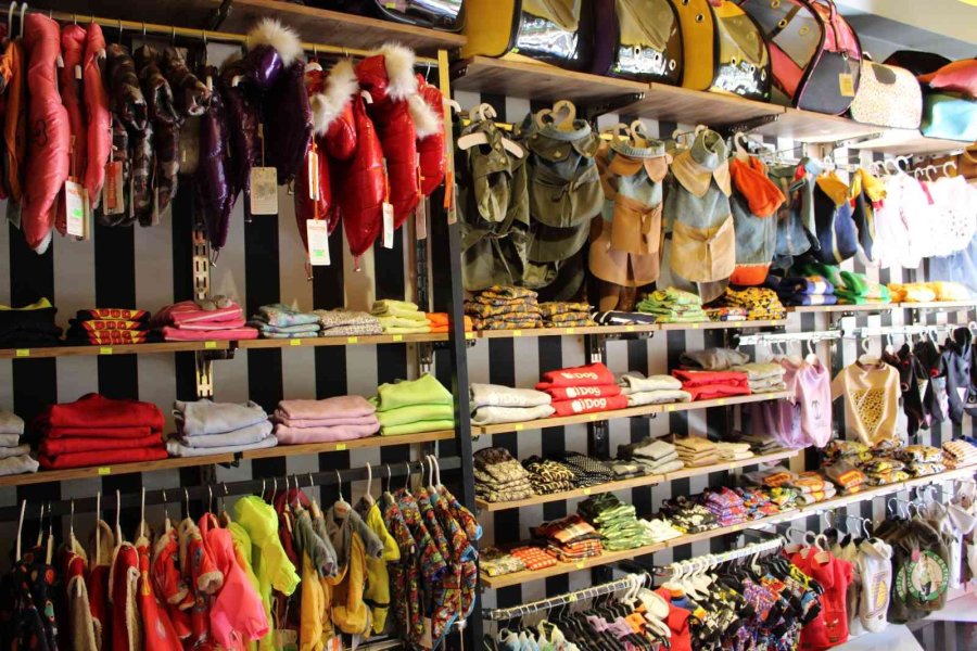 Hava Sıcaklıkların Düşmesi Hayvanseverleri Mevsimlik Kıyafetlere Yöneltti