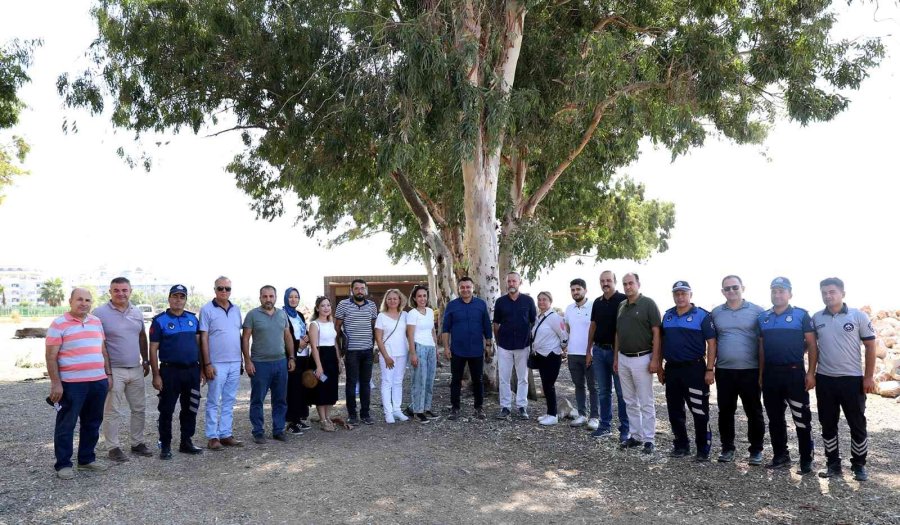 Konaklı-payallar-türkler Sahil Düzenleme Projesi Başladı