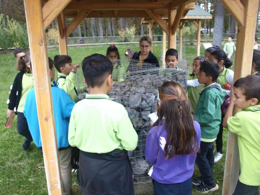 Minik Öğrenciler Kayaç Parkını Gezdi