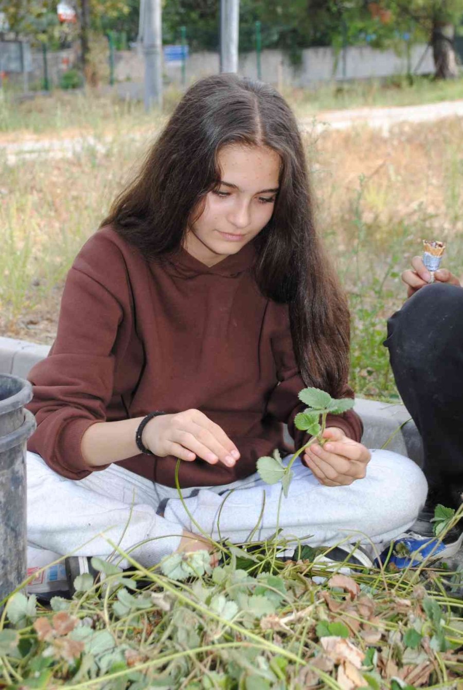 Genç Mühendis Adayları Sahaya İndi
