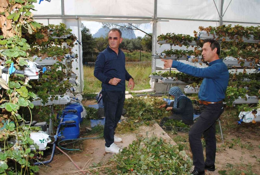 Genç Mühendis Adayları Sahaya İndi