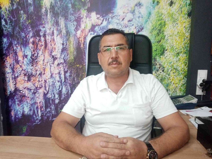 Zeytinde Fiyatlar Düştü, Yağında İkiye Katlandı