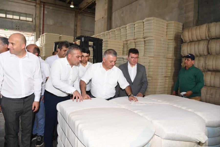 Antalya’da İlk Pamuk Hasatı