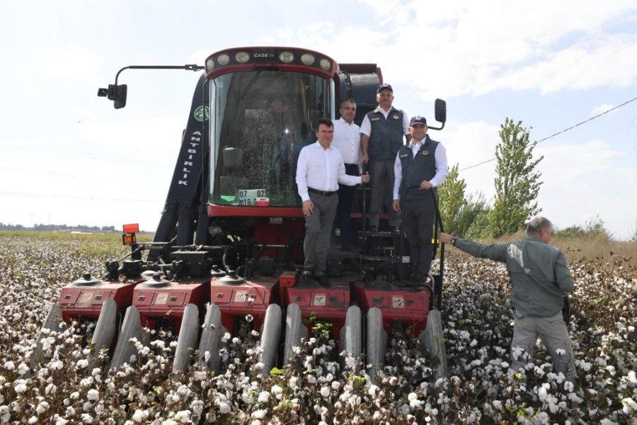 Antalya’da İlk Pamuk Hasatı