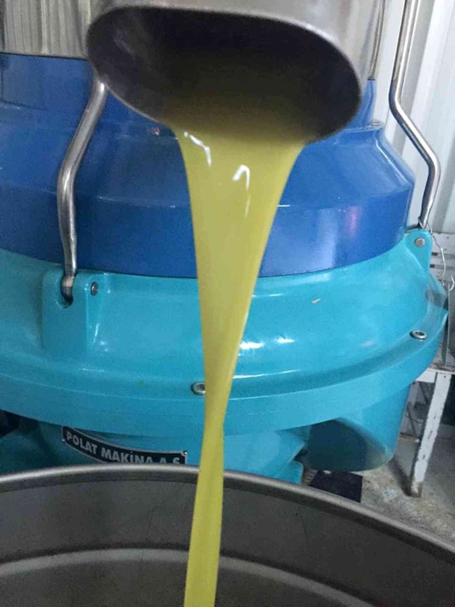 Zeytinde Fiyatlar Düştü, Yağında İkiye Katlandı