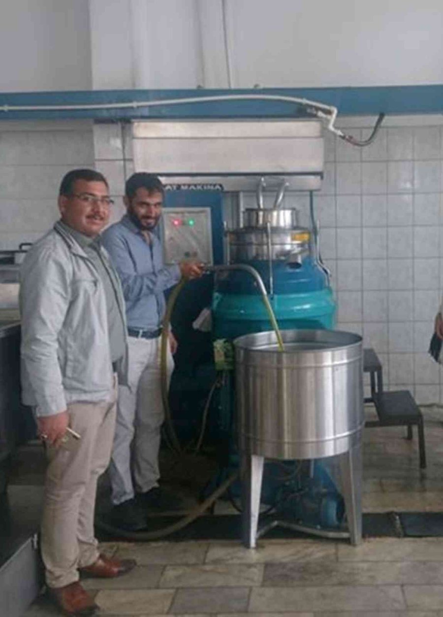 Zeytinde Fiyatlar Düştü, Yağında İkiye Katlandı