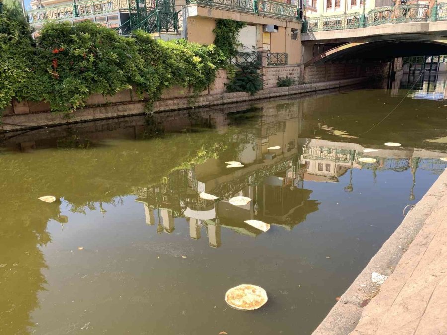 Porsuk’a Atılan Ekmekler ‘pes’ Dedirtti