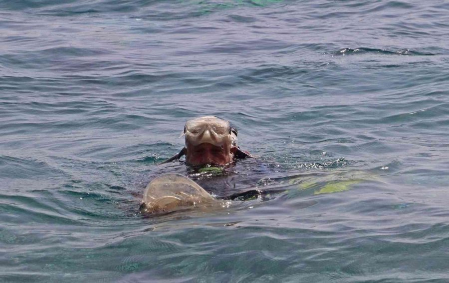 Zıpkınla Balık Avlar Gibi Izgara Şişiyle Çöp Avladılar, Çöpten Şiş Yaptılar