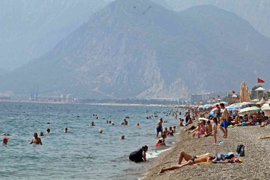 Zıpkınla Balık Avlar Gibi Izgara Şişiyle Çöp Avladılar, Çöpten Şiş Yaptılar