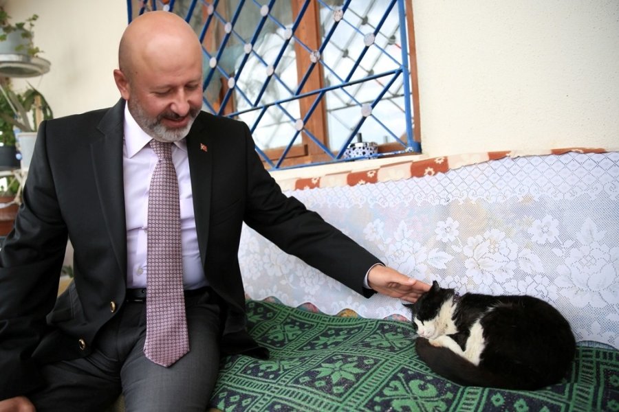 Kocasinan’dan 10 Bin Metrekarelik ’küçük Dostlar Kedi Kasabası’
