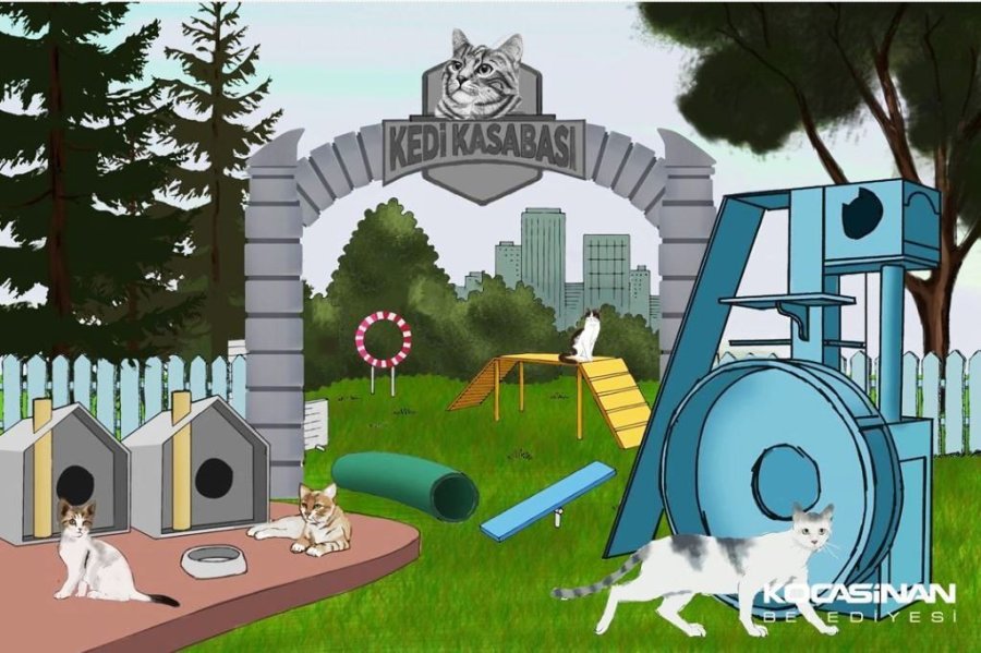 Kocasinan’dan 10 Bin Metrekarelik ’küçük Dostlar Kedi Kasabası’