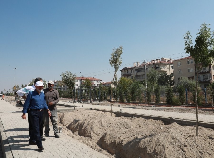 Kocasinan’dan 10 Bin Metrekarelik ’küçük Dostlar Kedi Kasabası’