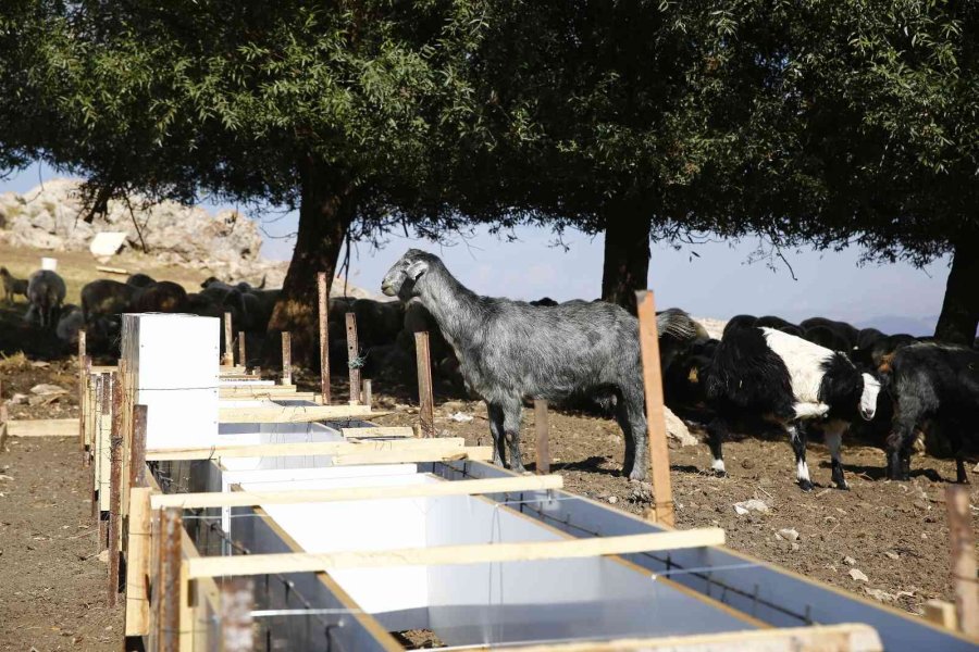 Mera Islahı İle Toprak Ve Bitki Örtüsünün Kalitesi Artacak