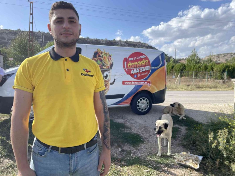 Eskişehirli Firmadan Sokak Hayvanlarına Özel Gün Yemeği